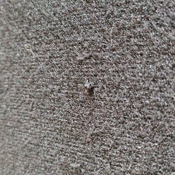 Tahari Tunic Sweater - Picture 7 of 11